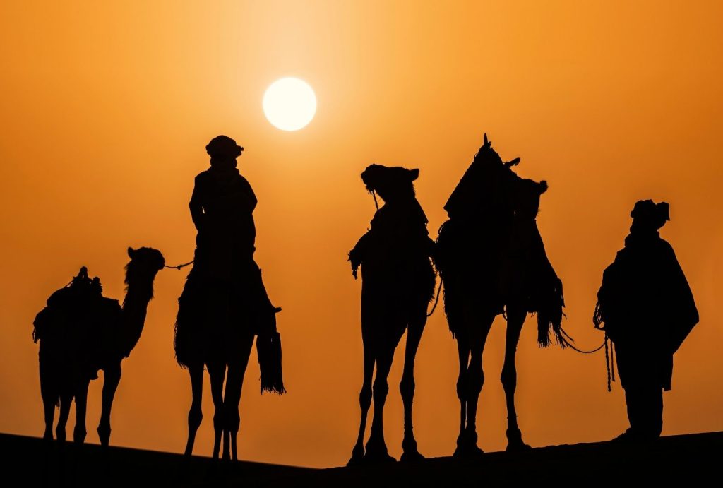 Best Tours From Fes