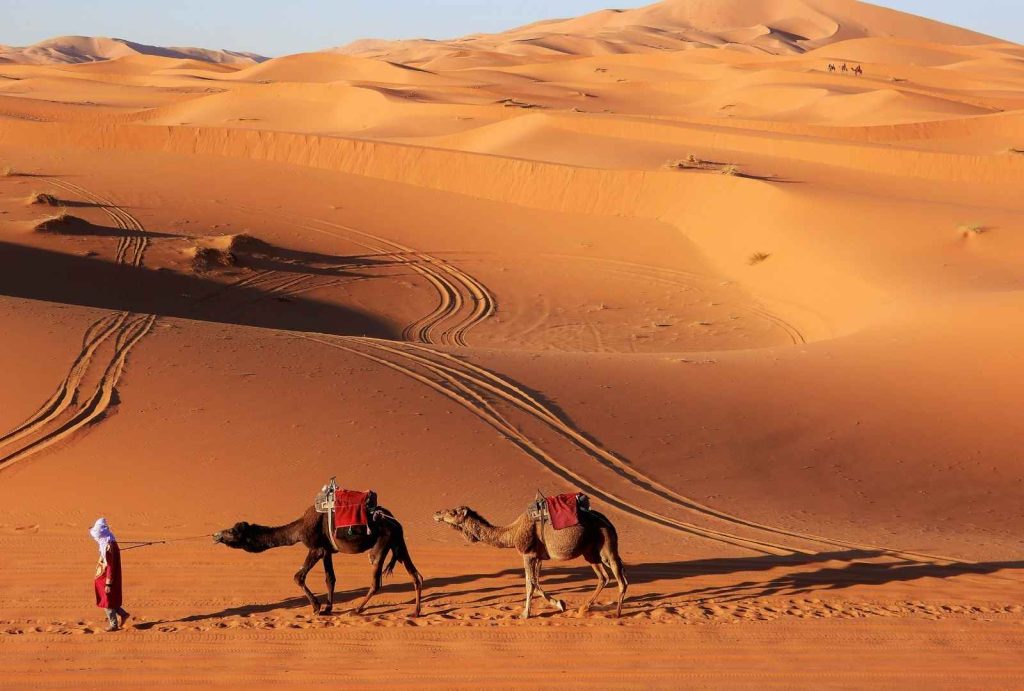 merzouga desert